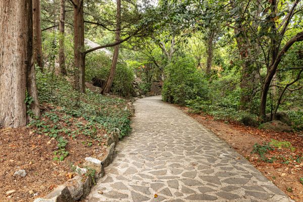 Stone Walkway Repair in Snohomish