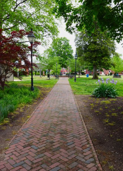 Brick Pathway Repair in Snohomish