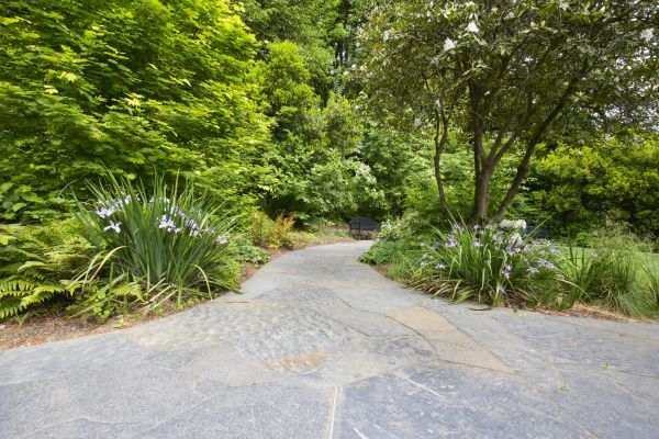 Stone Hardscape Service in Snohomish