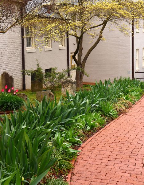 Brick Flatwork Repair in Snohomish